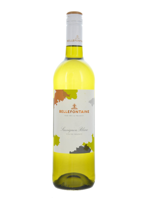 Белое сухое вино Andes Sauvignon Blanc 0.75L (Сhile)